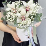 Шляпная коробка Орхи